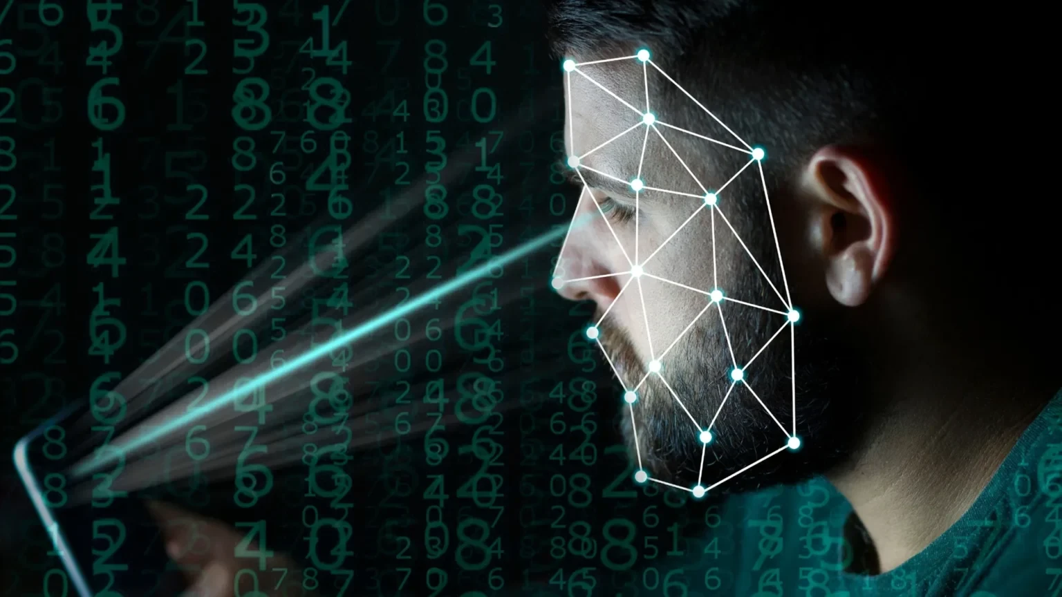 how to activate or disable face verification touch n go