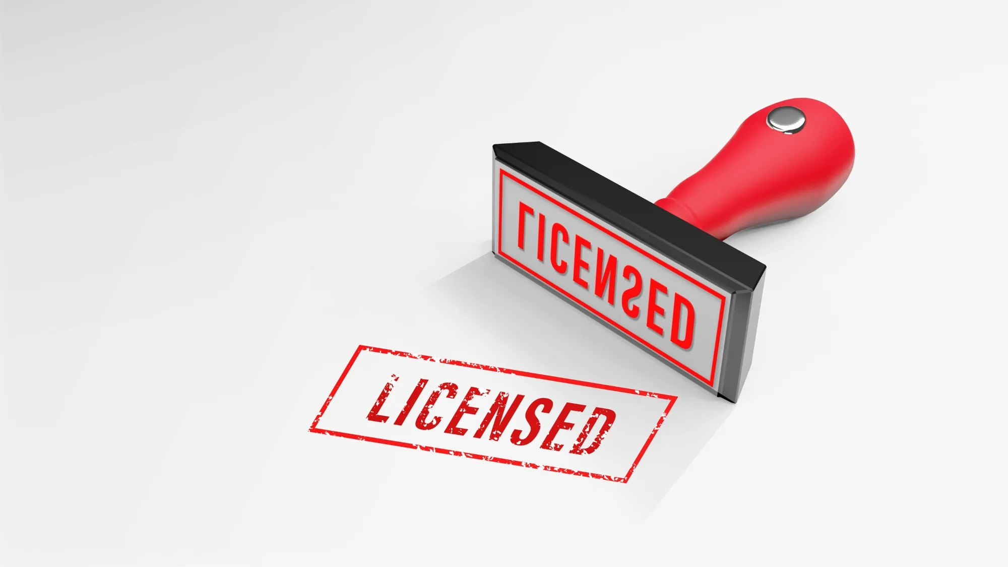 types of business license types